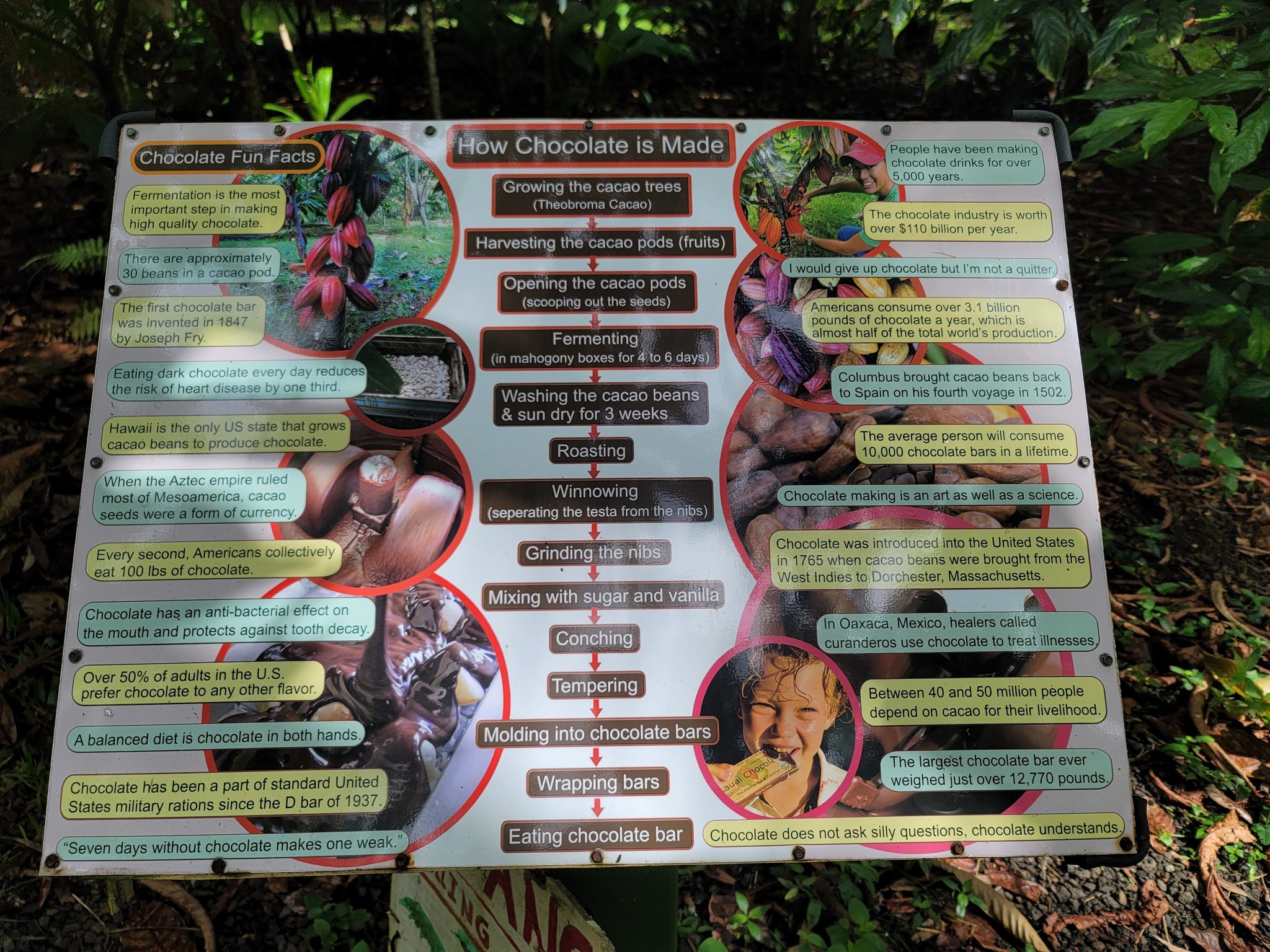 An outdoor sign titled How Chocolate is Made, listing every step from growing the trees through to eating the bar
