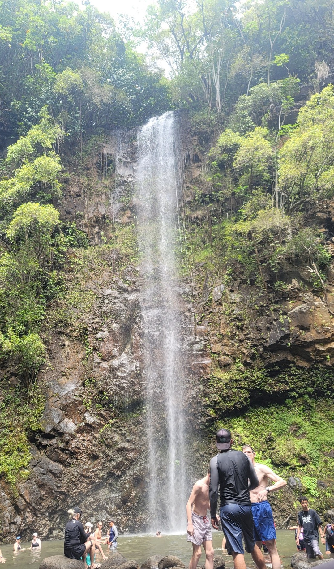 A tall thin waterfall dropping into a shallow pool, with people standing and swimming at the bottom